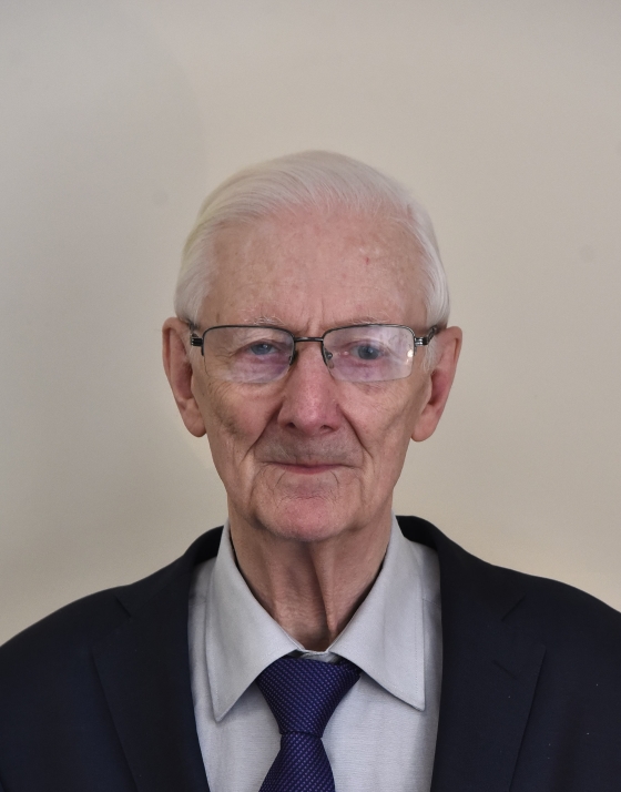 Ремизов А. Л.